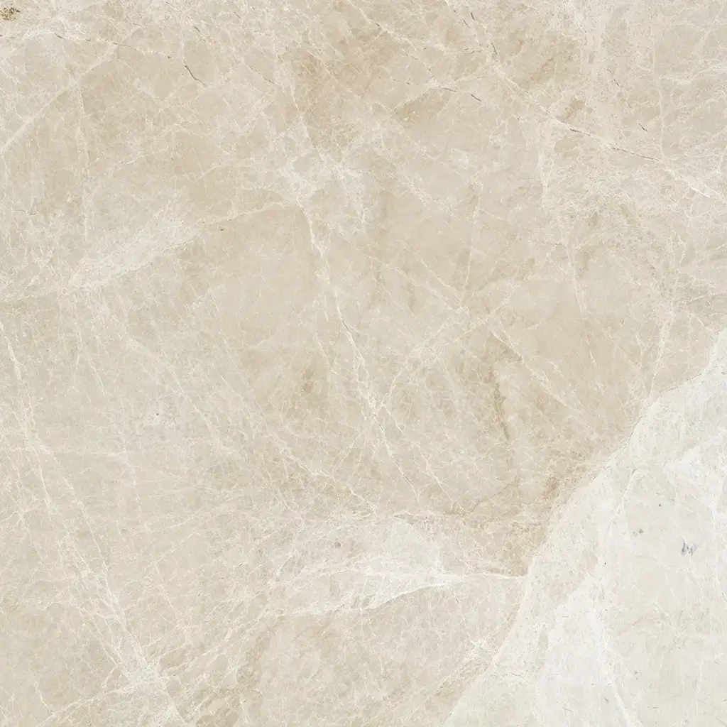 EMILY SPIDER DYNAMIC FIRÇALI