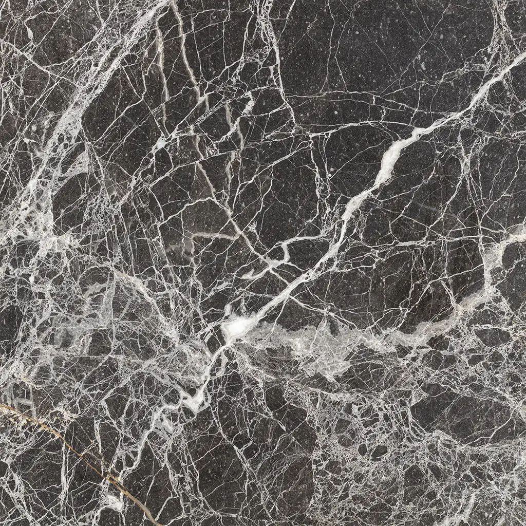 NIGHT SPIDER CİLALI