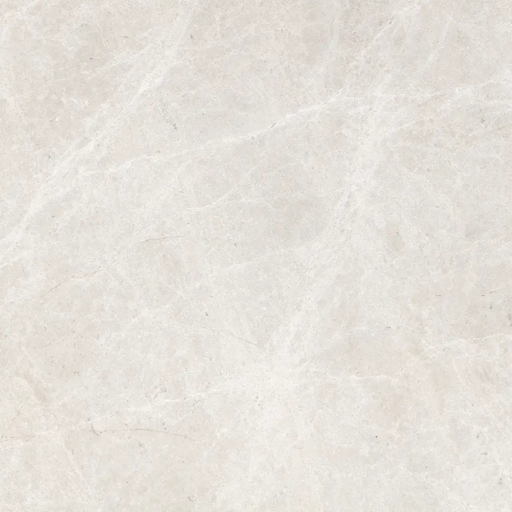 EMILY SPIDER KUMLU & FIRÇALI