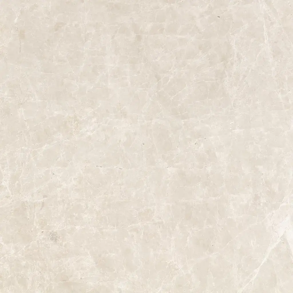 EMILY SPIDER CİLALI